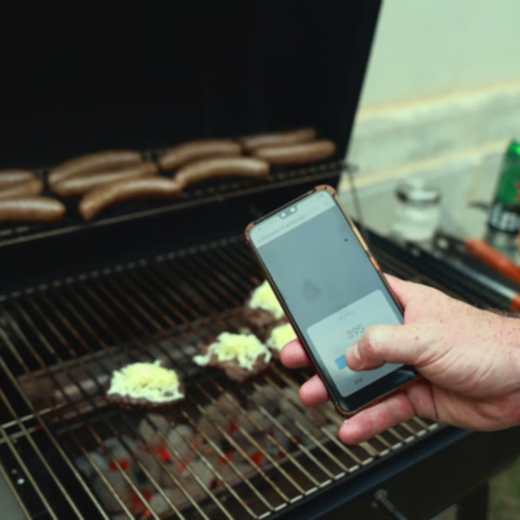 Lifesmart WiFi Temperature Control Charcoal Smart Grill